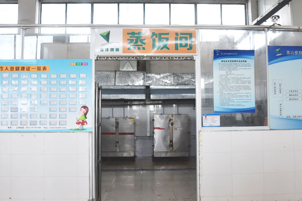 Web Tutorial Plus - Demo